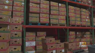 Food insecurity in Maryland has quadrupled since December, study shows