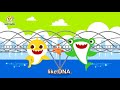 happy international day of peace compilation baby shark and friends baby shark official