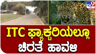 Leopard Fear: ದೇವನಹಳ್ಳಿ ITC ಫ್ಯಾಕ್ಟರಿ ಚಿರತೆ ಪ್ರತ್ಯಕ್ಷ- ಭಯದಿಂದಲೇ ಕರ್ತವ್ಯಕ್ಕೆ ಹಾಜರಾಗ್ತಿರು ಸಿಬ್ಬಂದಿ