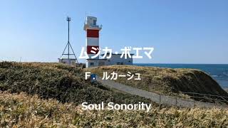 ムジカ・ボエマ　Ｆ．ルカーシュ（Soul Sonority）