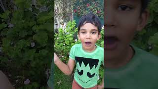 Funny Jelly Beans😂#shorts #funnyshorts #funnyvideo