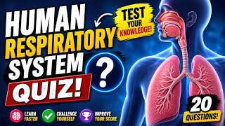 Respiratory System Quiz - Perfect Exam Review for Students