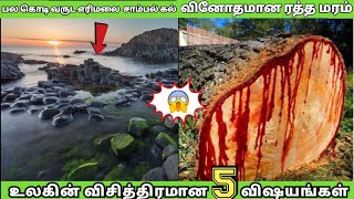 உலகின் விசித்திரமான 5 விஷயங்கள் || strangest 5 things in the world