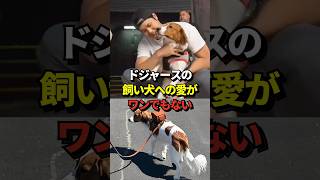 【癒される】大谷翔平のデコピン愛だけではなく、ドジャースの犬への愛が素晴らしいと話題に！#shorts #大谷翔平 #野球