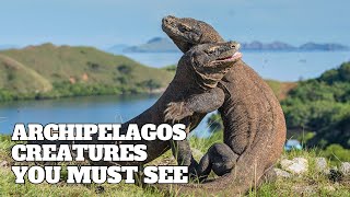 Exploring 6 Archipelagos Teeming with Unique Biodiversity