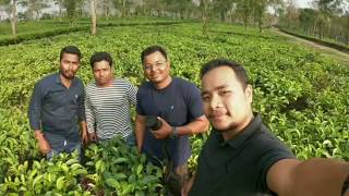 GoPro Hero 6 - Nonoi Tea Estate, Nagaon, Assam 2018