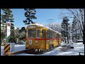 小金井公園　さんぽ