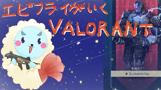 【VALORANT】ヴァロラント！ソロラントになるか泥沼ラントになるか！ランクもーりもりするぞ！【Vtuber】