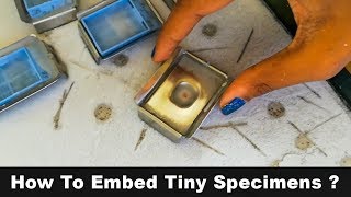 How to Embed Tiny Histology  Specimens