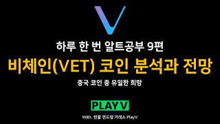 [하루 한 번 알트공부] 9편 비체인(VET) 코인 분석과 전망 - 중국 코인의 유일한 희망!