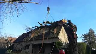 Abattage a la grue d'un arbre tombé sur un toit