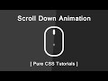 Css Scroll Down Animation - Pure CSS Tutorials - Custom Scroll Down Indicator