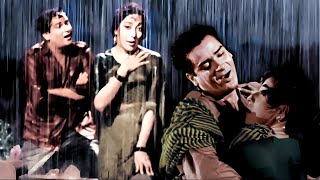 दिल तेरा दीवाना है सनम - Mohabbat Ki Kasam | Lata Mangeshkar Evergreen Song | Shammi Kapoor | Hindi