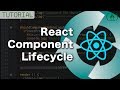React Component Lifecycle - Hooks / Methods Explained