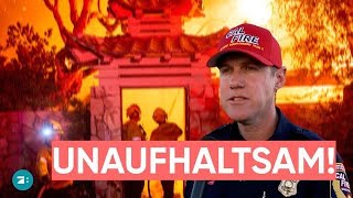 Hölle in Los Angeles: Die Feuerwehr ist am Limit