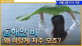 [예보가 알고싶다] 동해안 가끔 비 (2019년11월 6일 17시 발표)