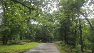 Ratanmahal Wildlife | Ratanmahal Forest | રતનમહાલ રીંછ અભ્યારણ્ય | Part 1