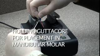 Holding GuttaCore for Placement | Dentsply Sirona