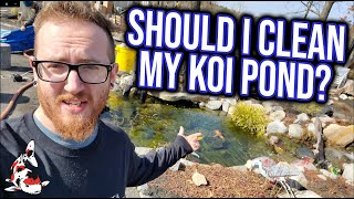 Should I Clean my Koi Pond? - Spring Cleaning Pond Tips