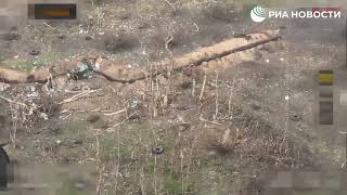 Украинский заградотряд расстрелял отступающих сослуживцев