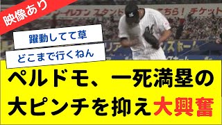 ペルドモ、一死満塁の大ピンチを抑え大興奮wwww【なんJ なんG野球反応】【2ch 5ch】