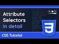Attribute Selectors in detail - CSS Tutorial