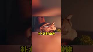 未来小厨房都在这样装打造实用无油烟的高级厨房火星人集成灶 跟着买不出错装修设计厨房