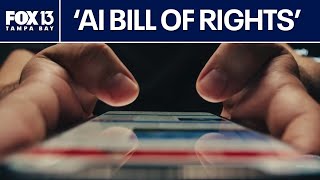 Florida's 'AI Bill of Rights': House feud threatens DeSantis’ guardrails, data center limits