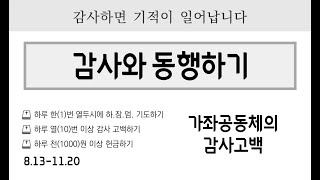 2021년 가좌제일교회 추수감사주일 영상 '감사와 동행하기'