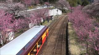 わたらせ渓谷鐵道 トロッコわっしー1号 神戸駅発車