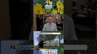 Damp Weather, Much (Much!) Cooler Weather #ohwx #pawx #youngstown #weather