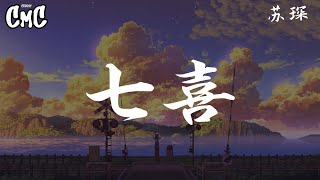 七喜 - 苏琛【如果夏夜可以让我诉说 连星河都会闪烁 如果海浪可以让我掌舵 你会不会陪我】（动感歌词/pīn yīn gē cí）