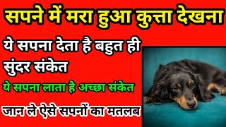 सपने में मरा हुआ कुत्ता देखना | Sapne Mein Mara Hua Kutta Dekhna | Seeing dead dog in dream
