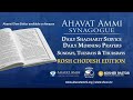 Shacharrit for Yom Rishon Rosh Chodesh  at Ahavat Ammi's virtual Synagogue