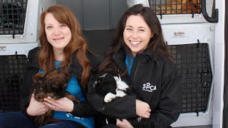 Rescue, rehabilitate and rehome — these 3 “R’s” are the Nova Scotia SPCA’s main mission