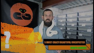 TOP 5 MOST CRAZY/BEAUTIFUL/UNEXPECTED MORPH COMBOS in my entire ball python collection!!!