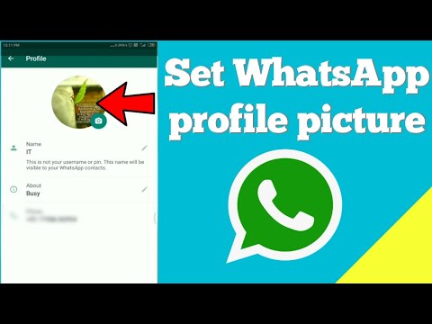 How To Set WhatsApp Profile Picture | Set WhatsApp DP - YouTube