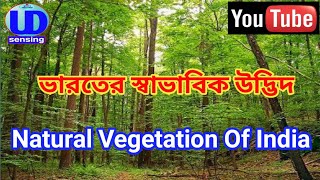 Natural Vegetation of India (ভারতের স্বাভাবিক উদ্ভিদ)