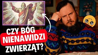 Dlaczego zwierzęta cierpią? │ Pytania Ateisty