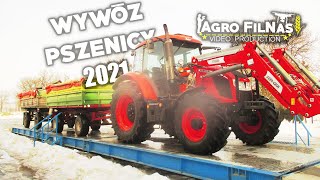 ☆==Załadunek i sprzedaż pszenicy 2021 Janszpol==☆