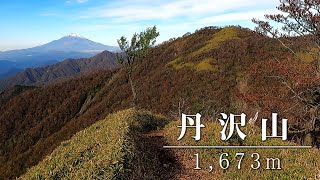 丹沢山トレラン（大倉バス停→蛭ヶ岳ピストン）