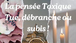 La pensée Toxique Tue, débranche ou subis ! #16