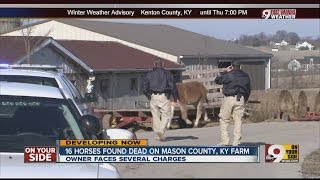 Sixteen horses found dead on Mason County, Ky. farm