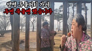 양평 두물머리 연 핫도그 먹다가 죽을 뻔 #양평여행 #두물머리 #연핫도그