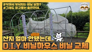 삭아서 부서지는 비닐 실화냐? D.I.Y. 비닐하우스 비닐 교체하기