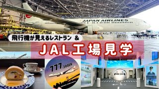 【東京 羽田】飛行機が見えるレストランとJAL工場見学(sky museum)✈︎