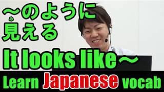 Japanese Lesson #260 It looks like  【～のように見える】