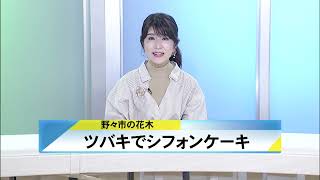 北國新聞ニュース（昼）2023年3月16日放送