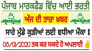 Punjab Markfed Recruitment in 2019-20 || Markfed latest Bharti in 2020 || Markfed Vacancy in 2019