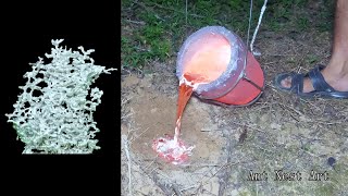 Introducing molten aluminum into ant nests, a piece of art